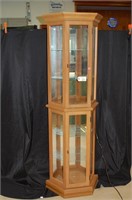 Lighted Display Cabinet 71" x 11" D  x 20" Wide