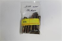 12 ROUNDS OF .348 WIN AMMUNITION