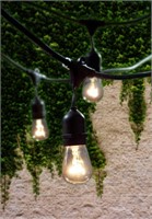 Outdoor String Light with Incandescent Bulbs 48Ft