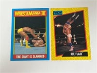 Hulk Hogan & Ric Flair Wrestling Cards