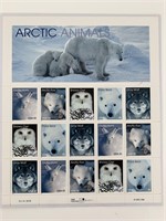 Arctic Animals: Arctic Hare, Arctic Fox, Snowy Owl