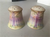 Nippon Hand Painted Salt & Pepper Shakers