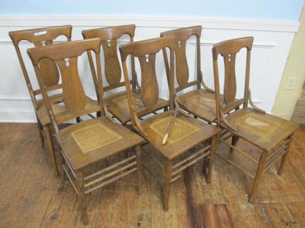 SET OF 6 CHAIRS CAIN BOTTOM. MATCHING.