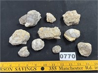 Fossils