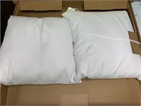 PILLOWS (OPEN BOX)