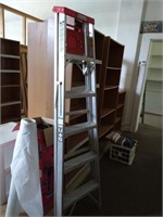 Davidson Aluminum Ladder (6')