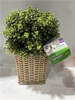 $25.00 artificial plant with light