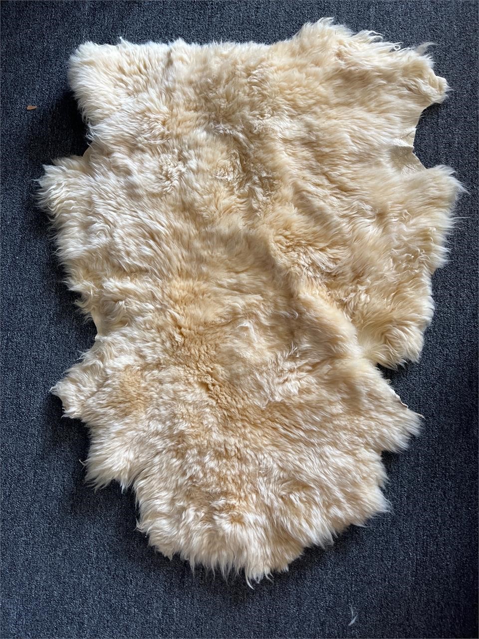 Sheep Hide rug