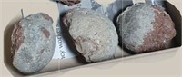 Clutch of 3 Hadrosaur Eggs - 80-78 Ma