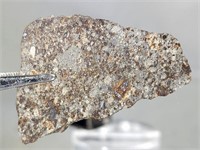 NWA 869 L3-6 9.1g, meteorite end cut nice exterior