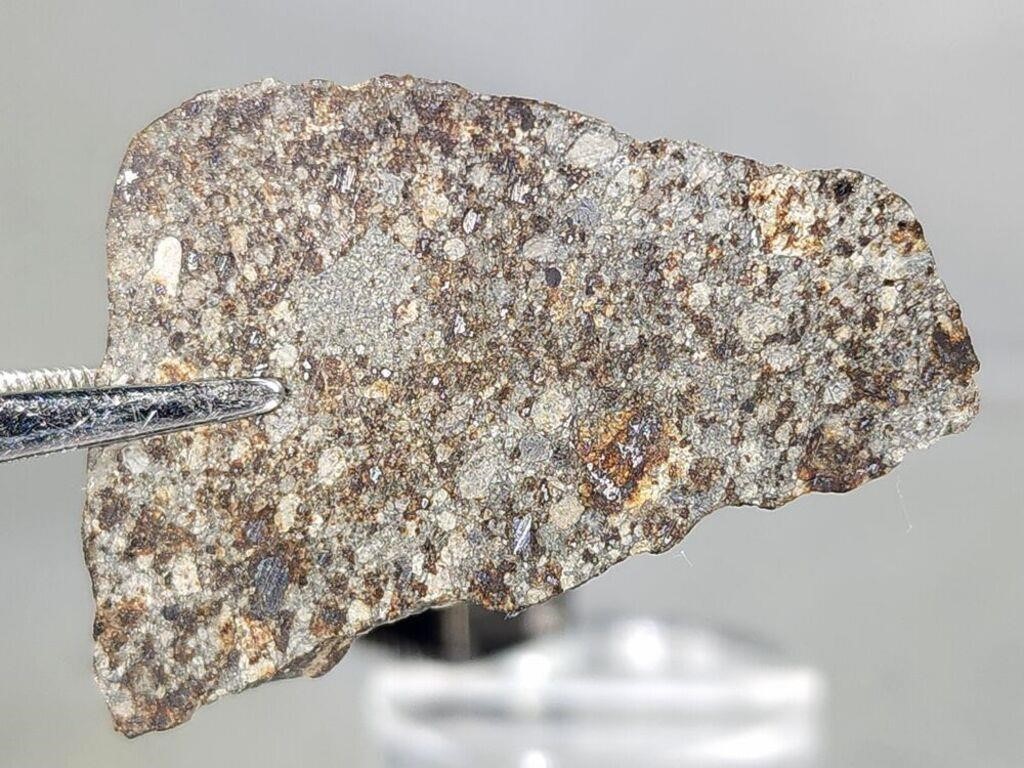 NWA 869 L3-6 9.1g, meteorite end cut nice exterior