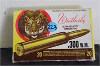 Ammo - 300 WM - 20 Rounds