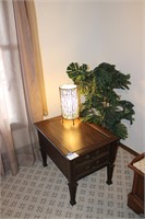 Side Table 2 Plant and light