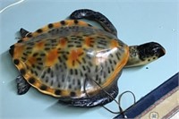 Fiberglass turtle