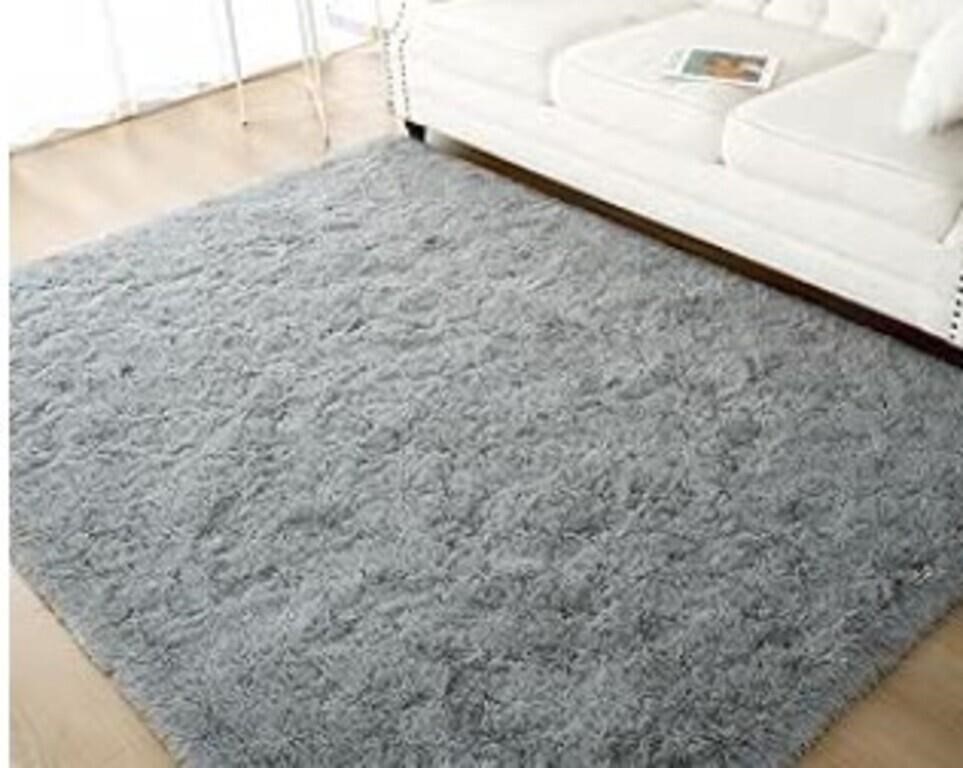 5'x7' Grey Shag Rug