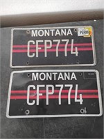 Montana Plates