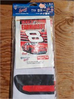 Dale Earnhardt Jr flag