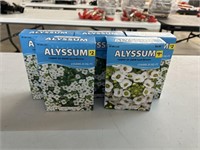 (5) Boxes of Alyssum Seed Mixture