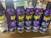 6 Raid Bed Bug Foaming Spray