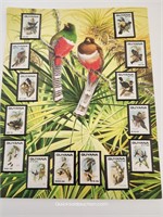 1990 Page Of Mint Stamps Of Guyana-Artist Warren
