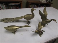 brass ducks & peacock