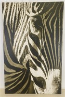 Zebra Head Wall Canvas
