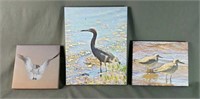 3 Photograph Canvas Prints Sea Birds