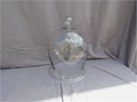 GLASS DOME /BELL