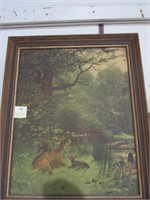 Framed Picture of Deer in Forest NO SHIP
