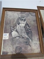 Framed Picture of Two Owls NO SHIP