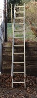 20 Foot Extendable Ladder