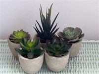 Mini faux succulents