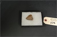 Possible Meteorite Rock