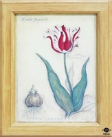 Tulip Print