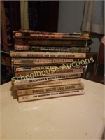 Group of Louis l'amour books