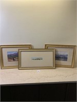 3 Framed Water Colors