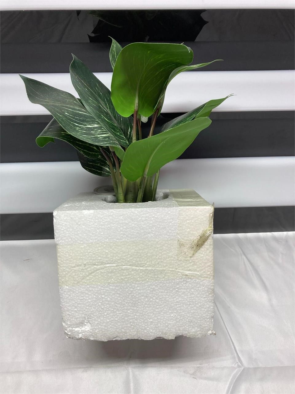 Origin21 Artificial Dieffenbachia 12in Plant