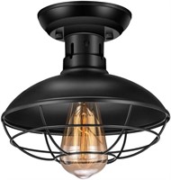 WF1135  Pynsseu Industrial Ceiling Light