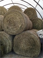 Hay  - Lot of 10 - One Price for all 10 Bales