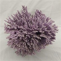 Purple Coral