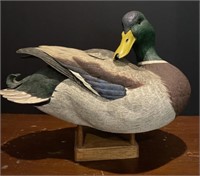 Preening Mallard by Ducks Unlimited