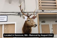 ELK MOUNT