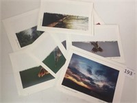 Set of 7 Jan Munson Photograph Cards, Signed