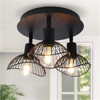 Ceiling Light, 3 Light Fixture