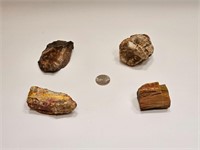 ROCKS PETRIFIED RUST COLOR ODDS LOT