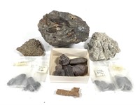 Various Tribolite, Fulgerites, Shell Fossils