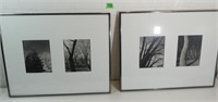 2 Framed Photos under Glass 20 x 16