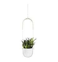 Umbra Bolo Hanging Planter, for Succulents and
