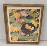 Antique Bon Ami Powder Chicks Advertising Paper