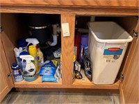 Cleaning Products & Items Under Kitchen Sink